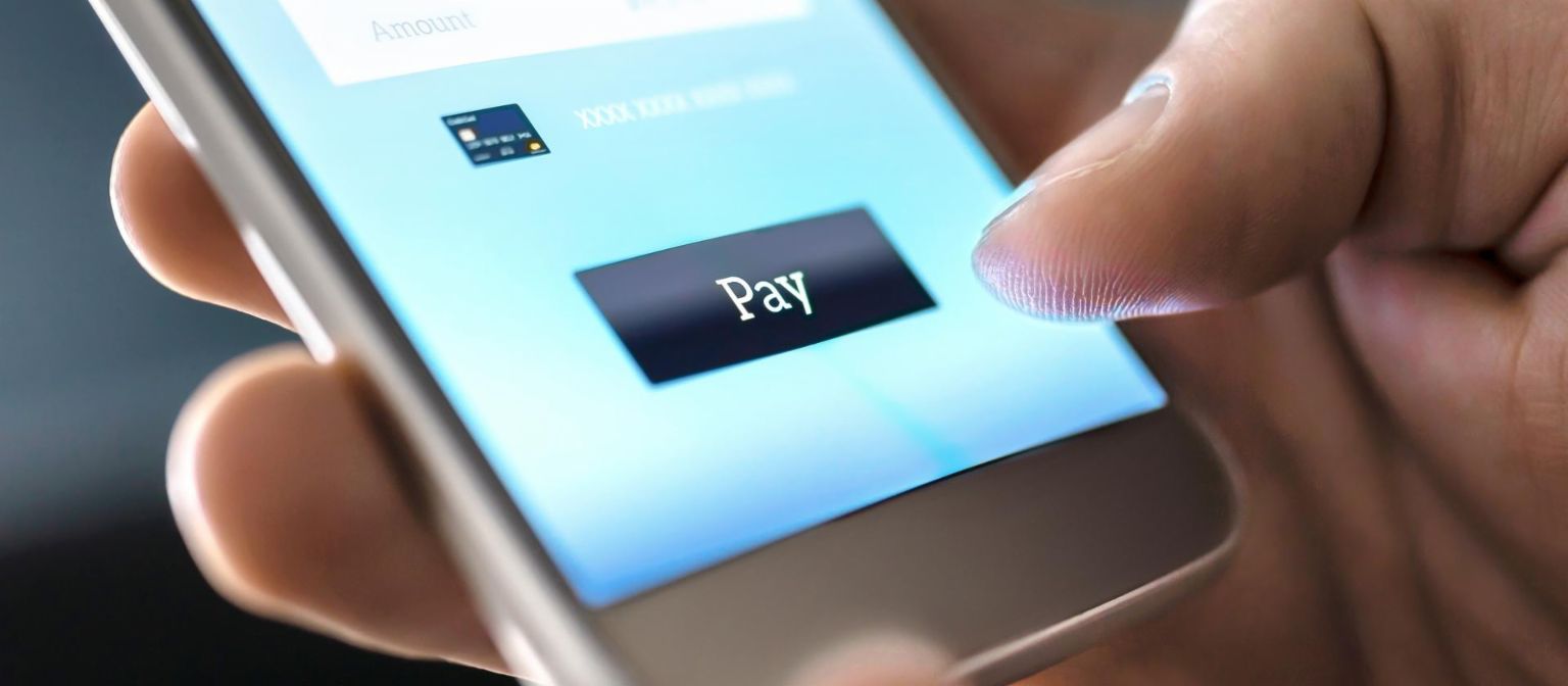 View of a smartphone screen showing a pay button