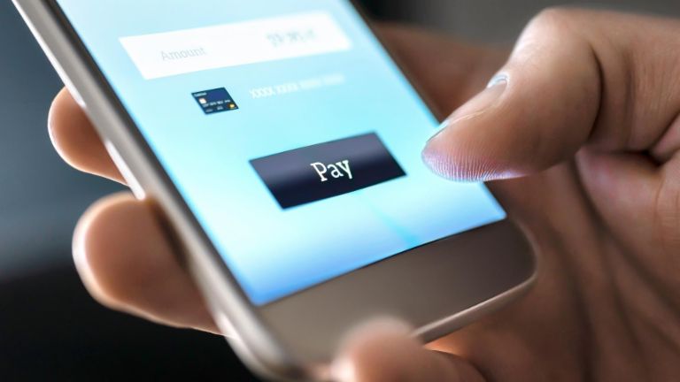 View of a smartphone screen showing a pay button