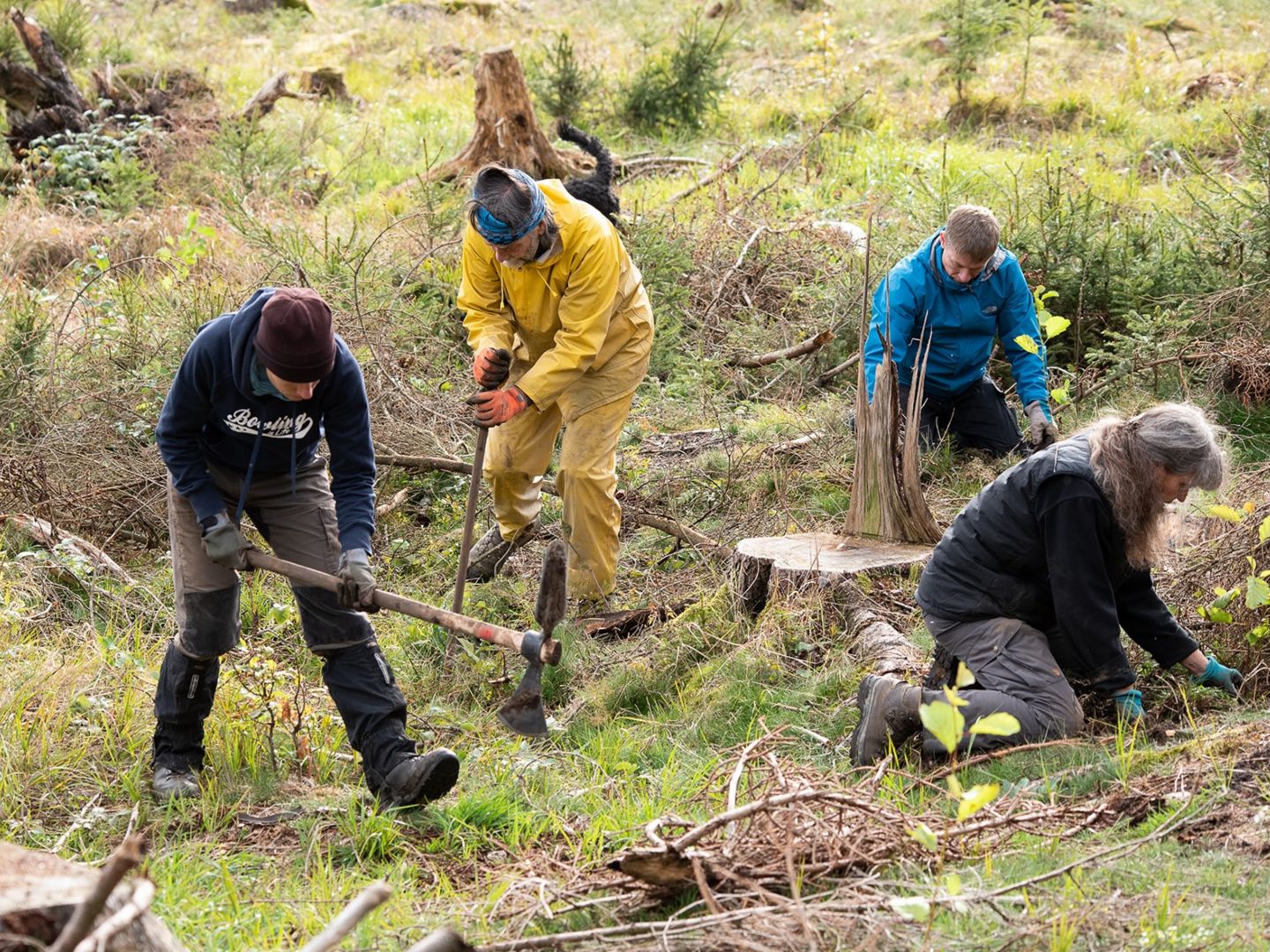 People with tools preparing the EOS tree planting project in cooperation with the German association Bergwaldprojekt e.V. 